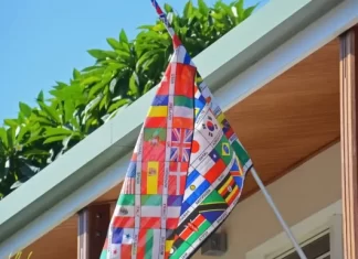 Hur många nivåer finns det i Duolingo?